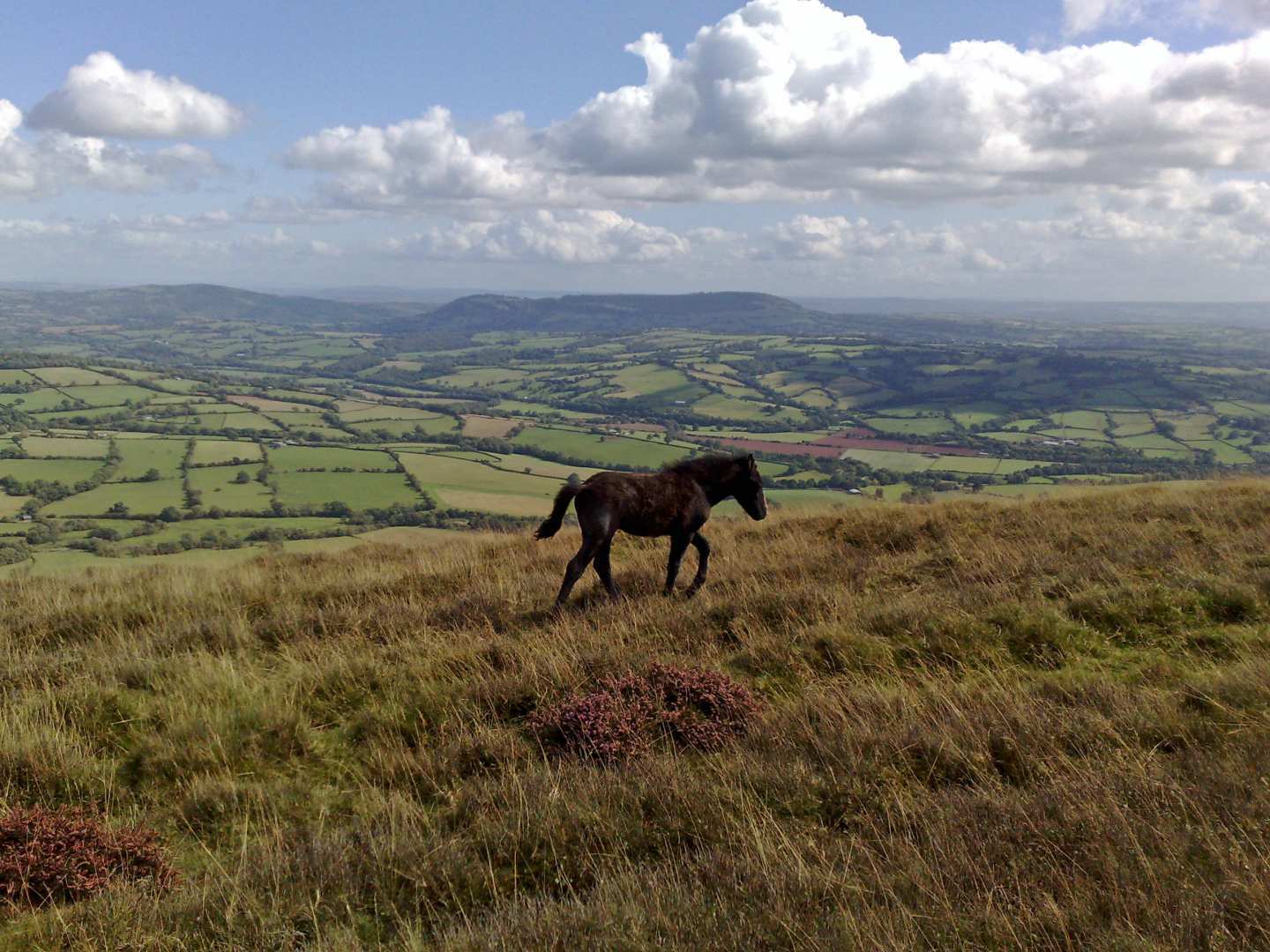 Offa’s Dyke Path Run - South Section 